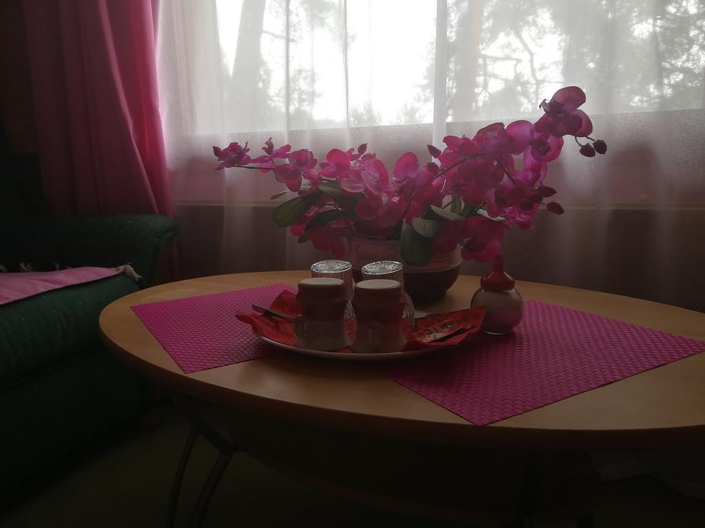 Hotel Villa Vanessa Siltakylä Екстериор снимка